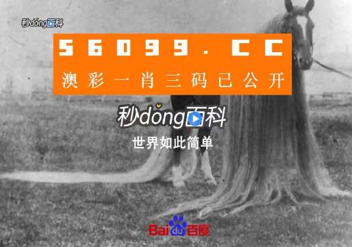 2024年12月12日 第3页