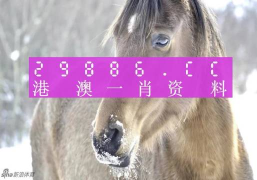 澳门精准一肖一码100%|词语释义解释落实|0.969342868