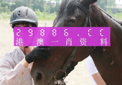 澳门今晚必中一肖一码|内容释义解释落实|0.611384320