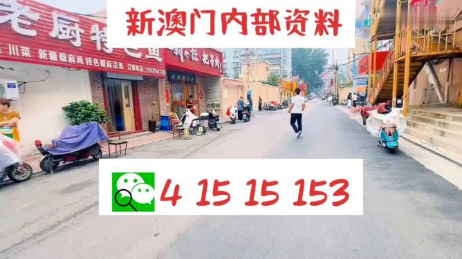 2024澳门天天开好彩大全|精选解释解析落实