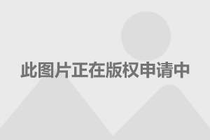 科技 第14页